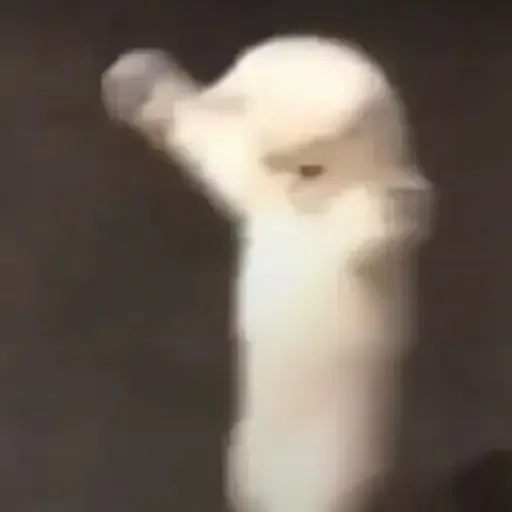 Figurinha: Gato dançante