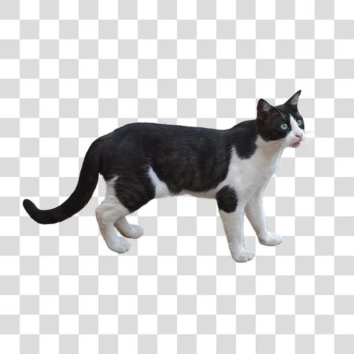 Figurinha: Gato preto e branco