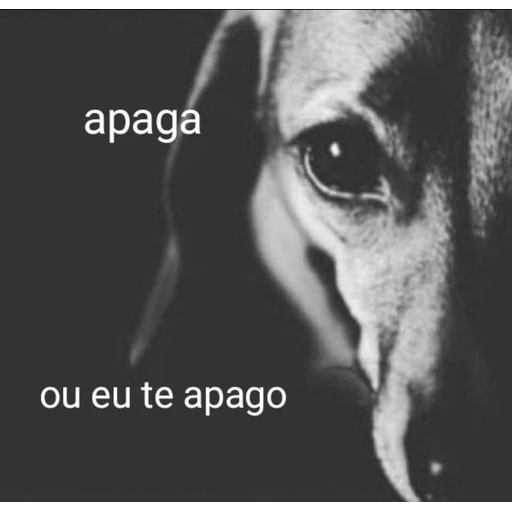 Figurinha: Apaga ou eu te apago