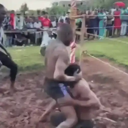 Figurinha: Luta de Wrestling no Barro
