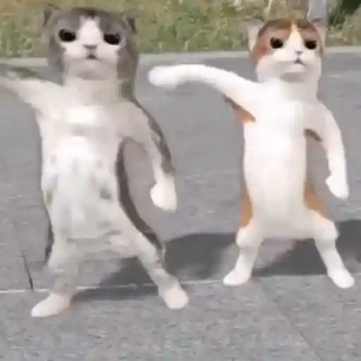 Figurinha: Gatos Dançando