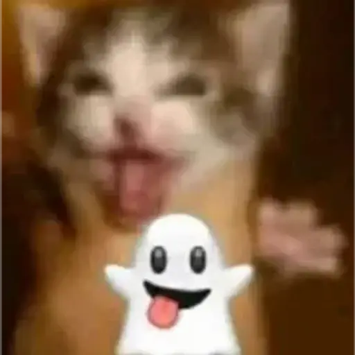 Figurinha: Gatinho Engraçado