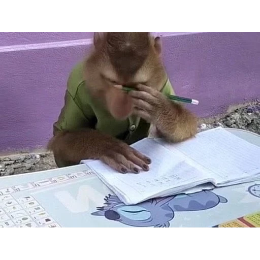 Figurinha: Macaco Estudante