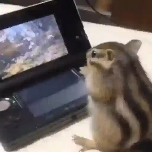 Figurinha: Esquilo gamer jogando 3DS