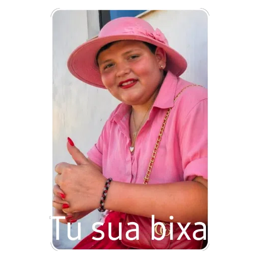 Figurinha: Tu sua bixa