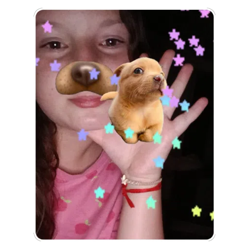 Figurinha: Filtro de Cachorrinho e Estrelas