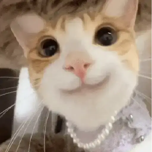 Figurinha: Gatinho Fofo Sorrindo