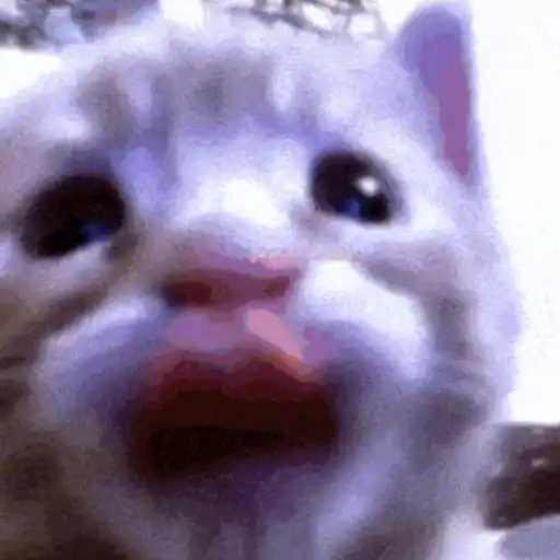 Figurinha: Gatinho Confuso