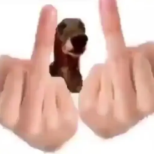 Figurinha: Cachorro mostrando o dedo