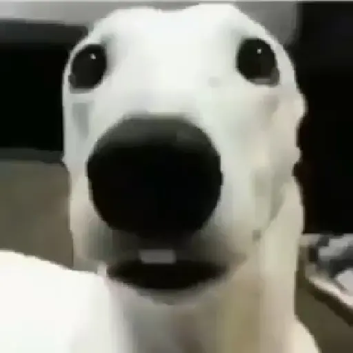 Figurinha: Cachorro Engraçado