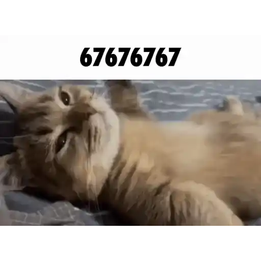 Figurinha: Gato Fofo Pedindo Carinho