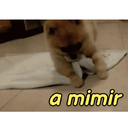 Figurinha: Cachorrinho a mimir